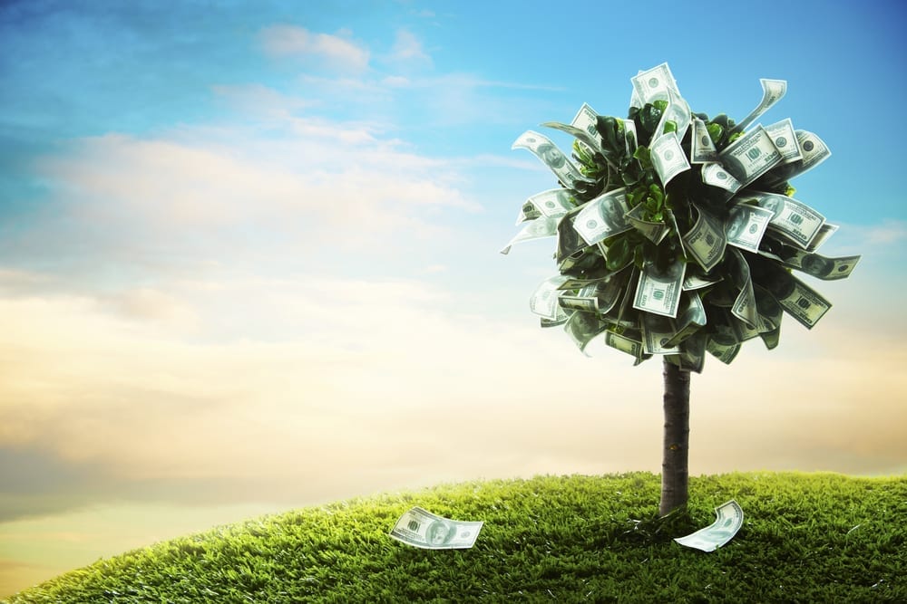 A money tree